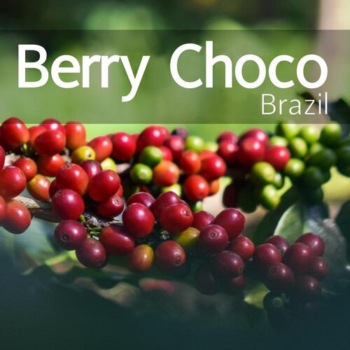 원두 브라질 베리초코 스페셜티 커피 500g